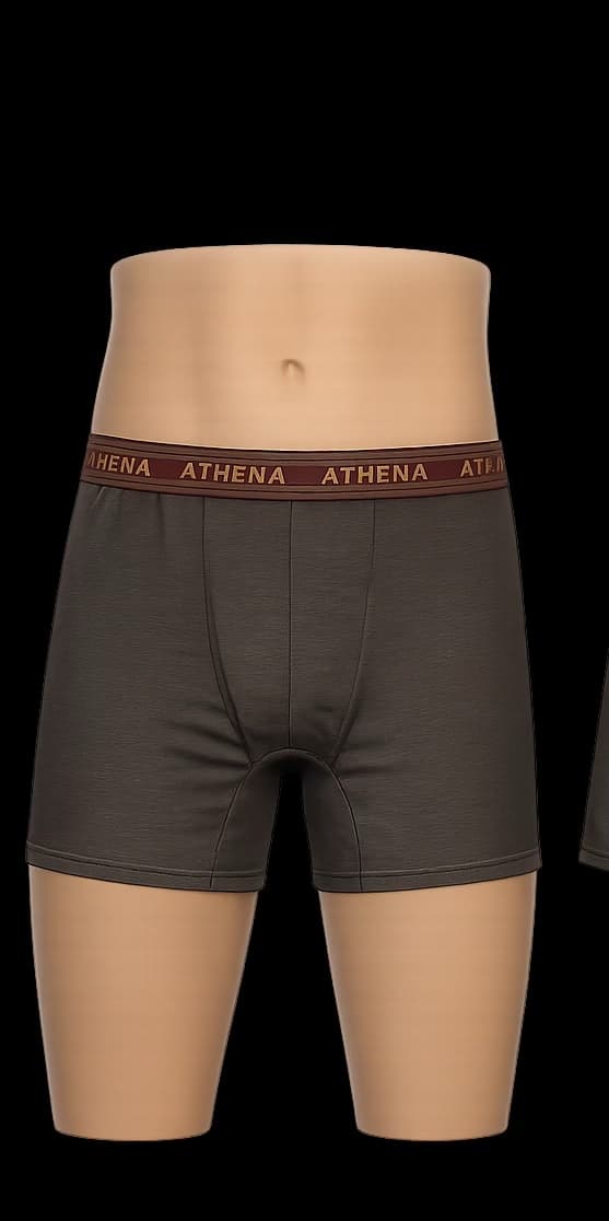 Pack 5 Boxers Premium